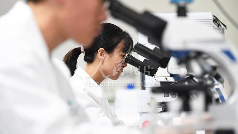 分子生物学试剂：揭秘其价格背后的奥秘