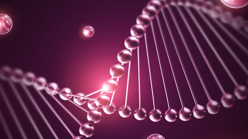 生物医药注册申报：流程解析与法规要点**
