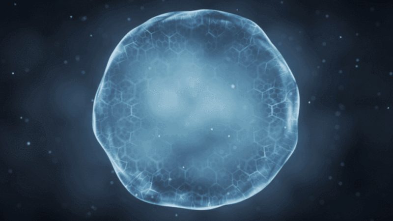 实验室耗材：批发价格背后的考量因素