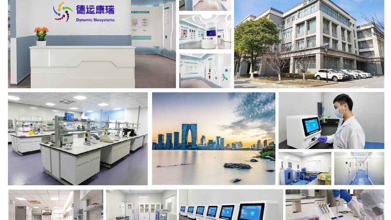 儿童天赋基因检测：准确吗？揭秘其原理与关键因素