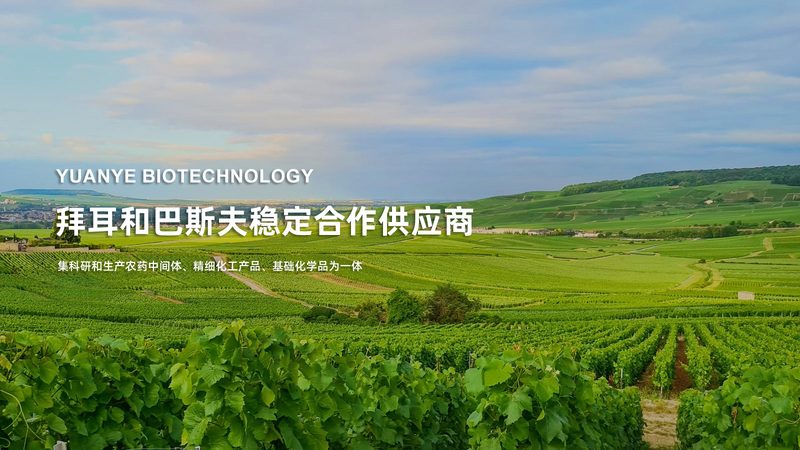 生物医药外包设备，如何选择合适的直销厂家？**