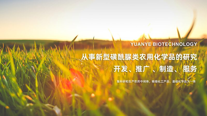 CRO代理加盟：揭秘医药研发背后的专业支持**