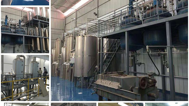 酶制剂使用流程详解：从准备到应用的每一步