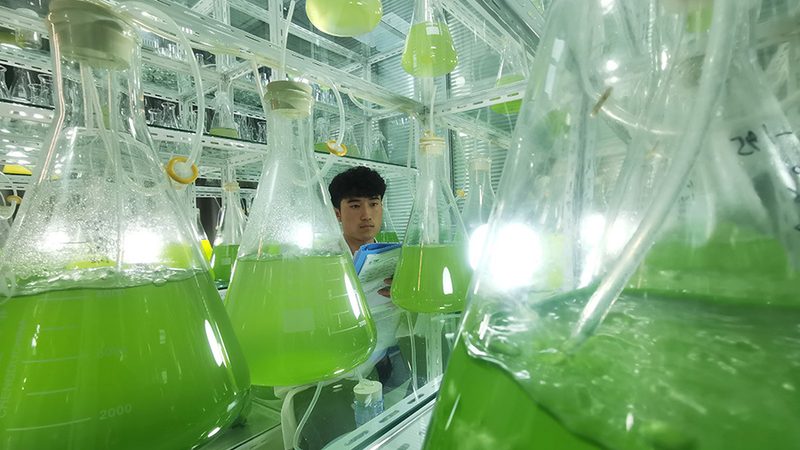 低温离心管：科研中的“隐形英雄”**